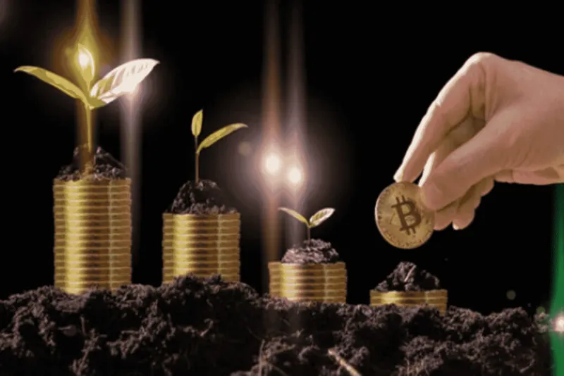 crescita economica e bitcoin